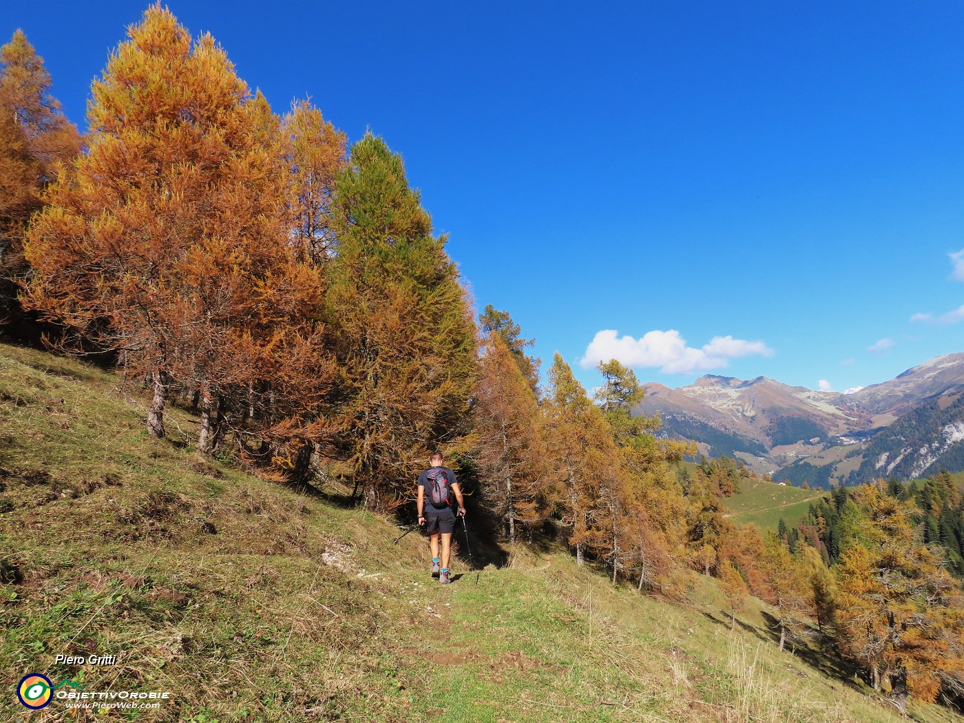 28 Spettacolo di panorami e di larici colorati d'autunno.JPG